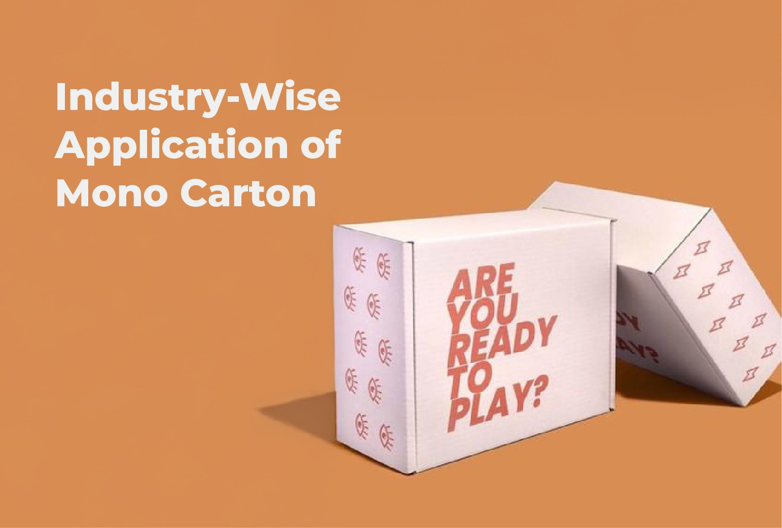 Mono Carton Box Manufacturer in Lagos